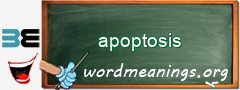 WordMeaning blackboard for apoptosis